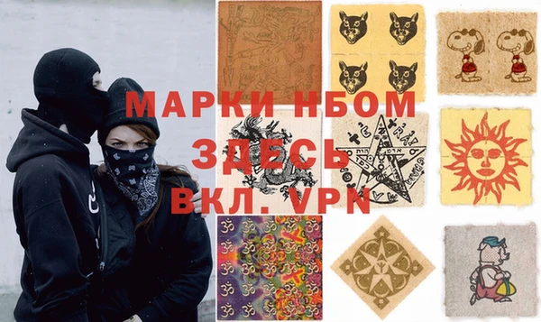 крисы Аркадак