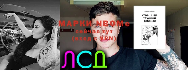 крисы Армянск