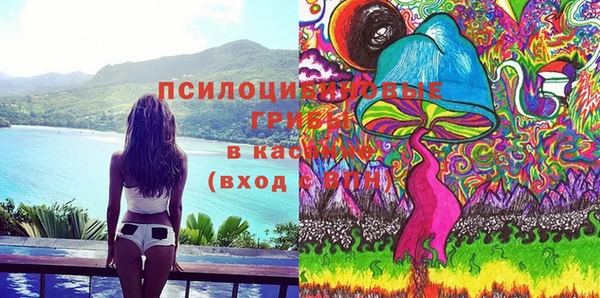 не бодяженный Арсеньев