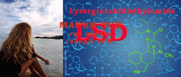 PSILOCYBIN Баксан