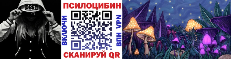 хочу   Белая Холуница  Псилоцибиновые грибы Psilocybe 