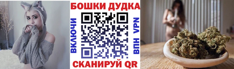 купить  цена  Белая Холуница  Марихуана сатива 